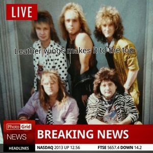 Meet your Posher, Ray